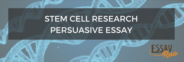 Essay on stem cell research