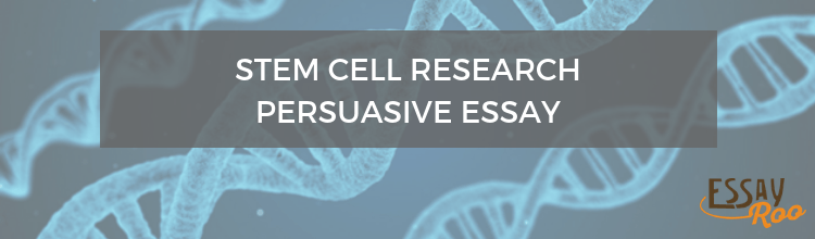 Stem cell persuasive essay