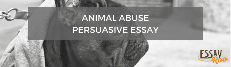 Essay on animal cruelty